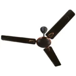 BAJAJ C/F 1200MM CHETAK DECO CHOCO BROWN